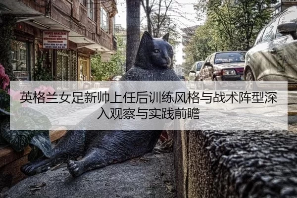 英格兰女足新帅上任后训练风格与战术阵型深入观察与实践前瞻