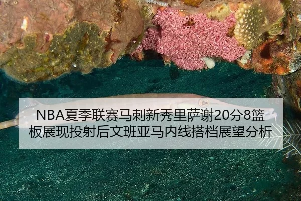 NBA夏季联赛马刺新秀里萨谢20分8篮板展现投射后文班亚马内线搭档展望分析
